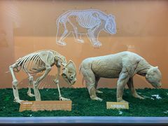 -中国大熊猫保护研究中心雅安碧峰峡基地