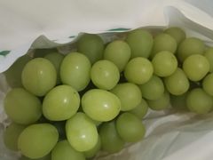 -叶氏兄弟果业(大连鲁迅店)