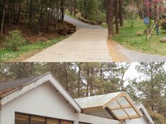 -竹上云想餐厅民宿