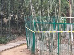 -镇江市南山风景名胜区竹林景区