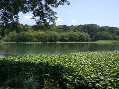 -一江春水·杭帮臻宴(三台山店)