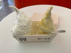 -野人先生现做冰淇淋(北京王府井东方新天地店)
