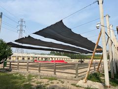 -北京群众马术培训基地