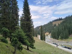 -塞罕坝国家级自然保护区