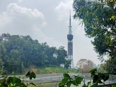 -广州雕塑公园