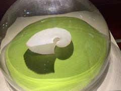 -青岛贝壳博物馆
