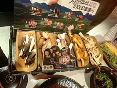 -芸山季·云南山珍菌火锅(人民广场来福士店)