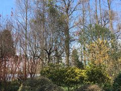 -上海植物园·停车场