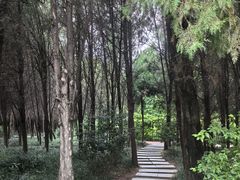 -郑州植物园