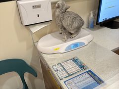 -萌兽医馆·犬猫专科·眼科中心·宠物医院(朝阳门分院)
