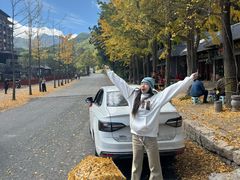 -洛阳白云山景区