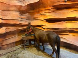 -酷嗒动物文化乐园(cutezoo西溪乐天城店)