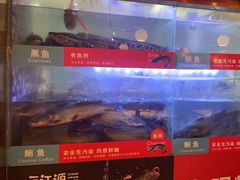 -三江源活鱼现烤(维多利摩尔城店)