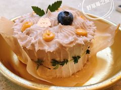 -野草莓自由市场