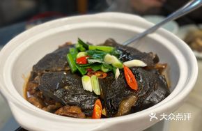 Red Soup Softshell Turtle