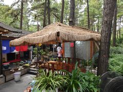-小小饭店·休闲农庄·安吉松树林里的农家菜