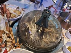 -半岛听涛蒸汽海鲜自助(K11店)
