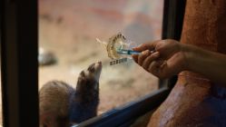 -酷嗒动物文化乐园(cutezoo西溪乐天城店)