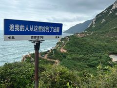 -杨梅坑