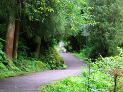 -西岭雪山大飞水景区