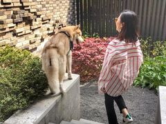 -上海崇明金茂凯悦酒店