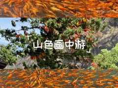 -楠溪江风景名胜区