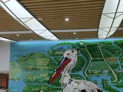 -同里国家湿地公园