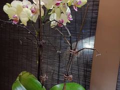 -一宽宽宴(白浮泉路店)