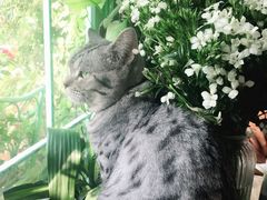 -小时光咖啡馆(北锣鼓巷店)