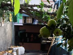 -喵屿·大理花园猫咖