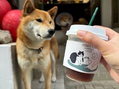 -三目仓咖啡(贤南路店)