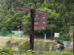 -阳台山森林公园