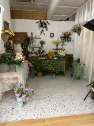 -芒果树国际儿童摄影(月亮河店)