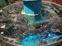 -魏铭鱼头捞饭(晋阳路店)