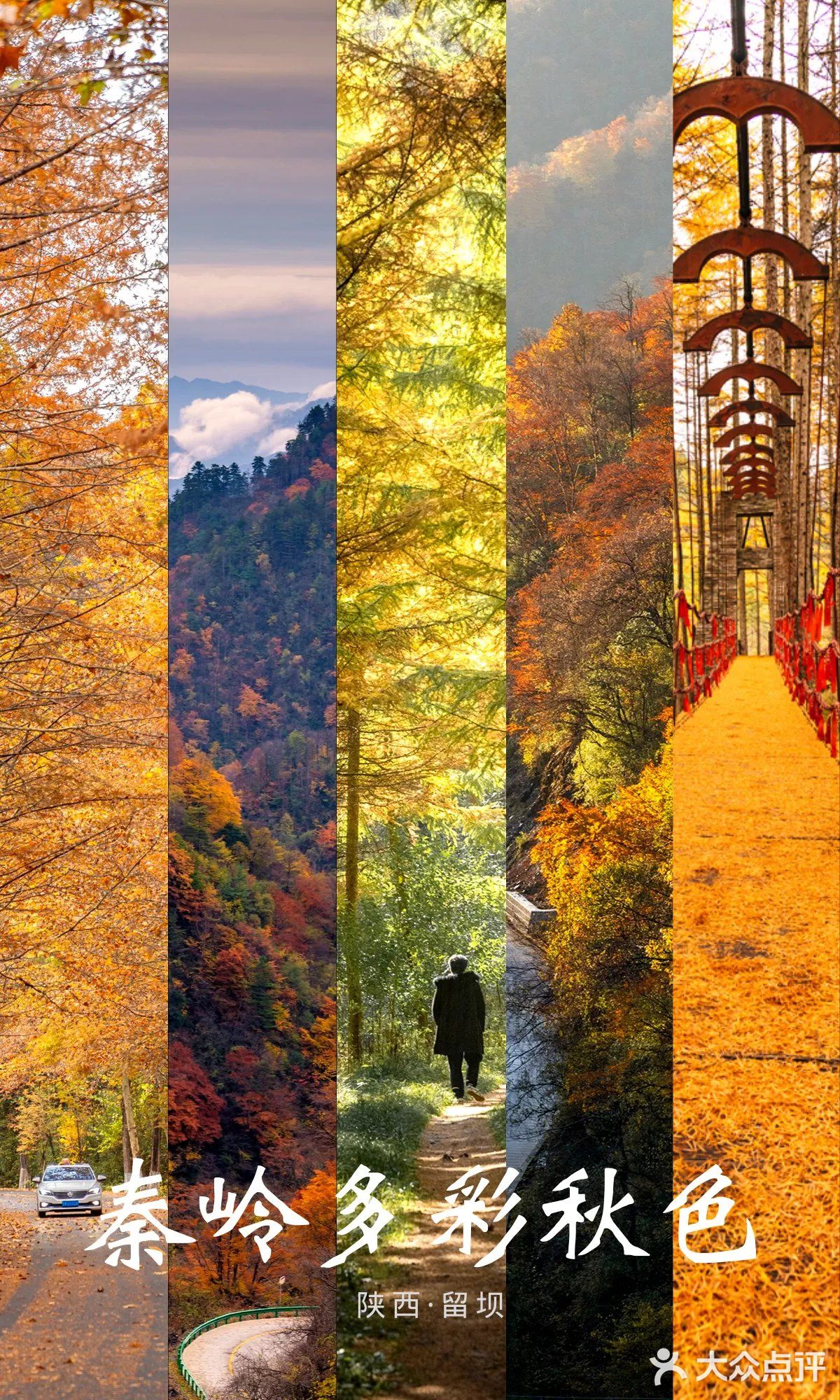 西安周边丨自驾秦岭红叶秘境,畅玩多彩之秋