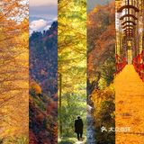 西安周边丨自驾秦岭红叶秘境,畅玩多彩之秋