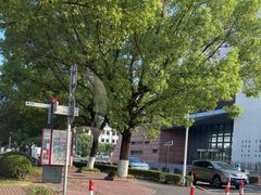 -上海交通大学(闵行校区)