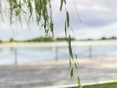 -上海月湖雕塑公园