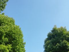 -安肯心理咨询(长宁旗舰店)