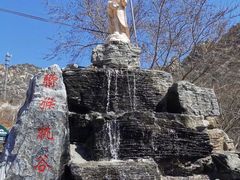 -大岭沟猕猴桃谷风景区