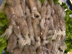 -中苑海韵
