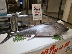 -蟹将军·松叶蟹和牛日料放题自助(K11店)