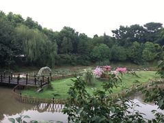 -无锡动物园·太湖欢乐园