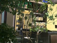 -杏花村水席楼·洛阳水席(老城十字街店)