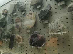 -浙江自然博物院(杭州馆)