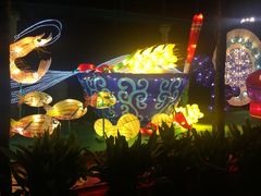 -锦江乐园舞狸花花游园会(夜场专享)
