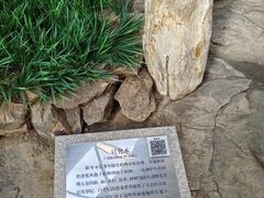 -中国第四纪冰川遗迹陈列馆