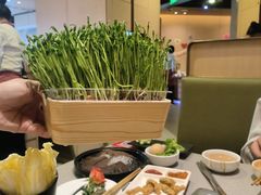 -海底捞火锅(中原万达广场店)