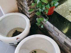 -巢湖名吃·东关老鹅汤(江南风情街店)
