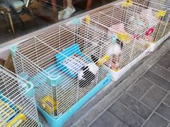 -后海16号·北京私房菜